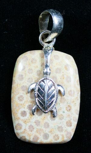 Fossil Coral Pendant With Turtle #7725